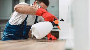 Best Termite Inspection and Treatment  in Lake Orion, MI